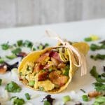 Cloverdale Maple Bacon Breakfast Tacos